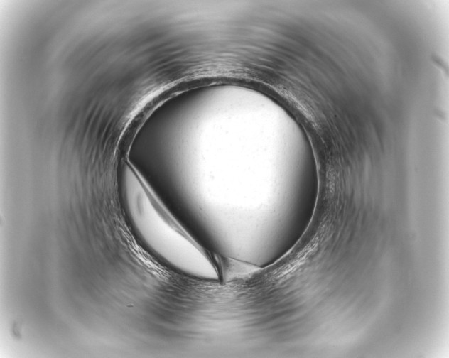 X0000093420830200711021013