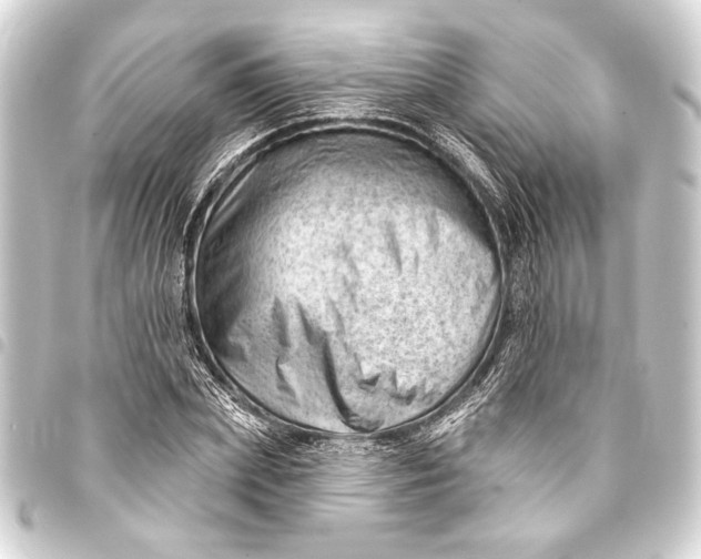 X0000093420831200711021013