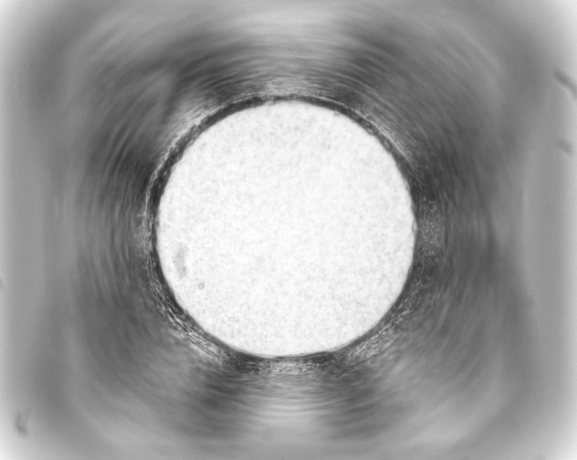 X0000093420832200711021013