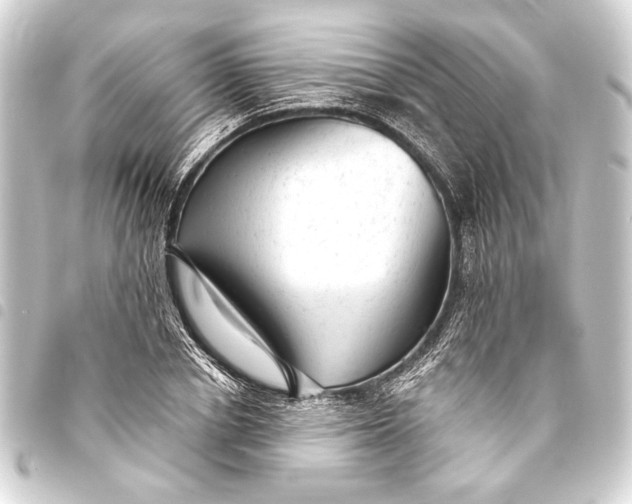 X0000093420834200711021013