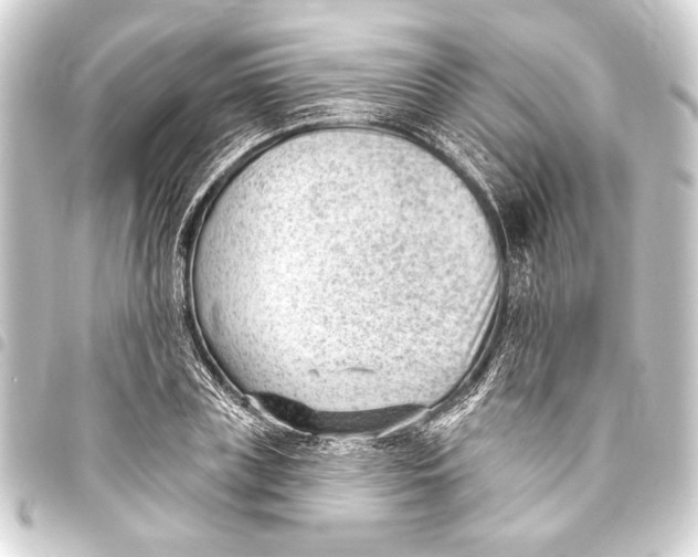 X0000093420835200711021013