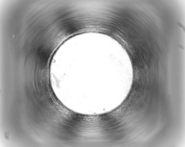 X0000093420836200711021013