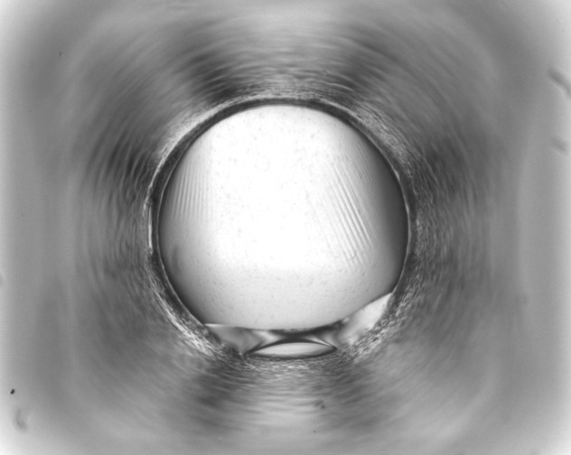 X0000093420838200711021013