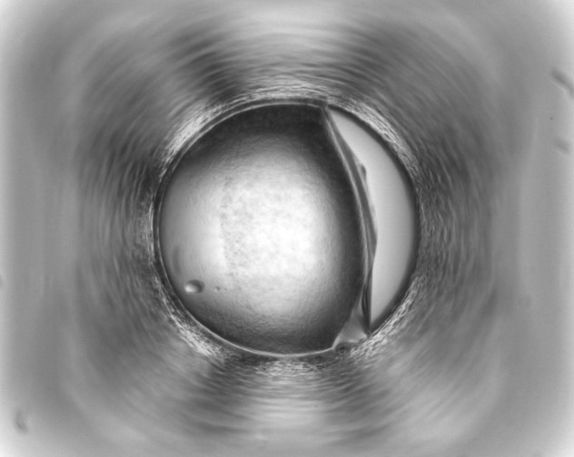 X0000093420842200711021013