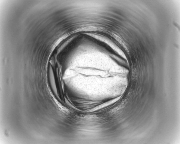 X0000093420845200711021013