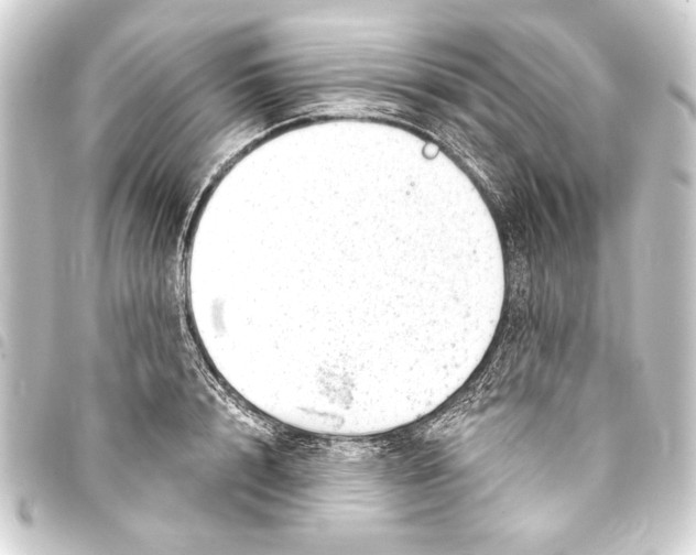 X0000093420848200711021013