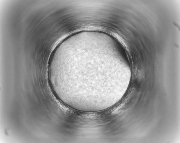 X0000093420853200711021013