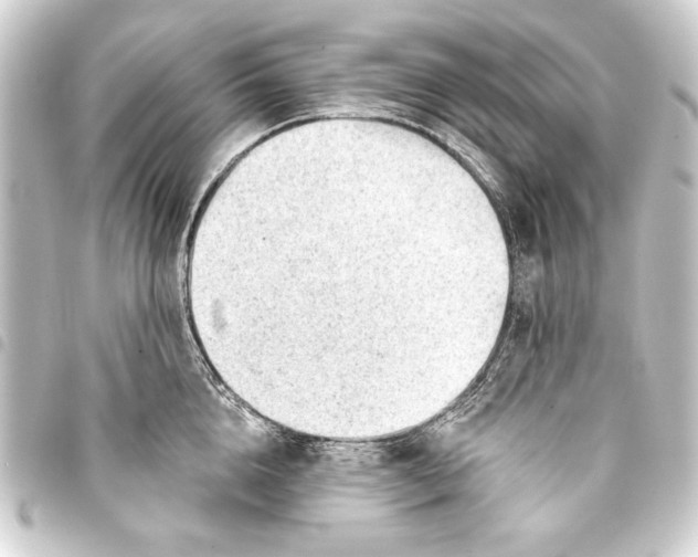 X0000093420856200711021013