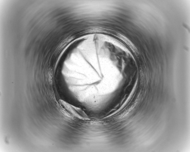 X0000093420857200711021013