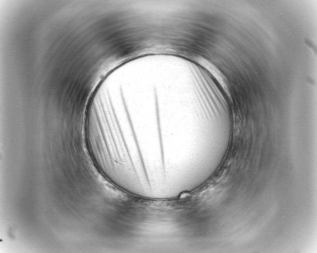 X0000093420861200711021013