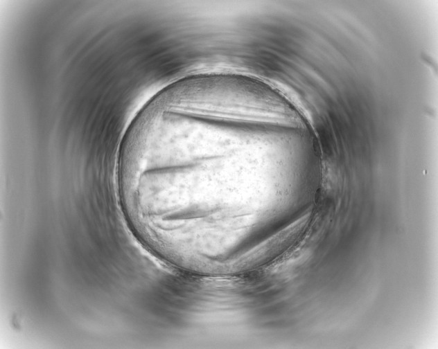 X0000093420863200711021013