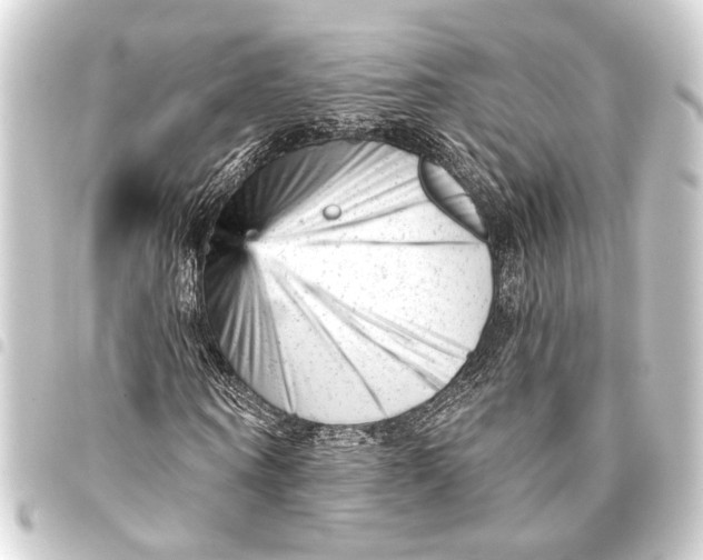 X0000093420866200711021013