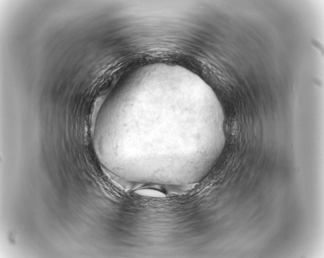 X0000093420868200711021013