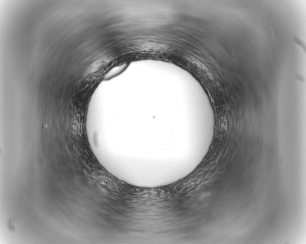 X0000093420869200711021013