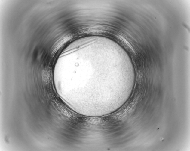 X0000093420874200711021013