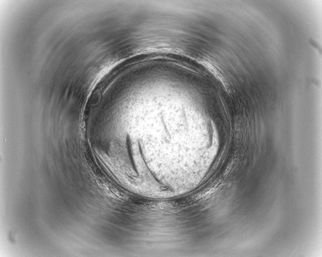 X0000093420879200711021012