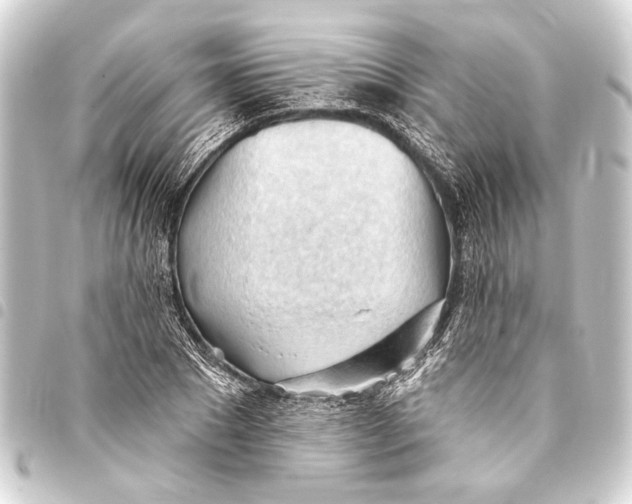 X0000093420881200711021012