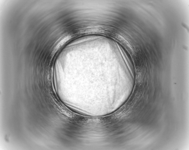 X0000093420882200711021012