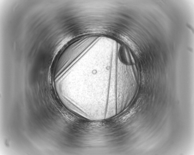 X0000093420883200711021012