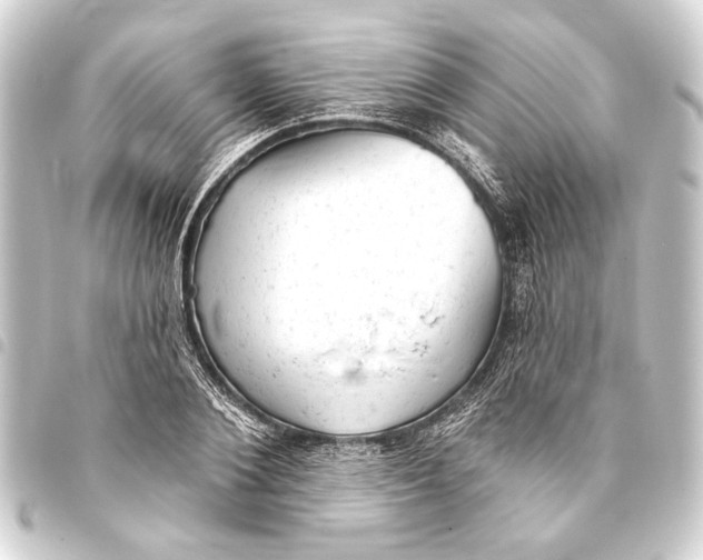 X0000093420884200711021012