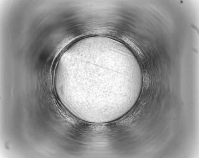 X0000093420886200711021012