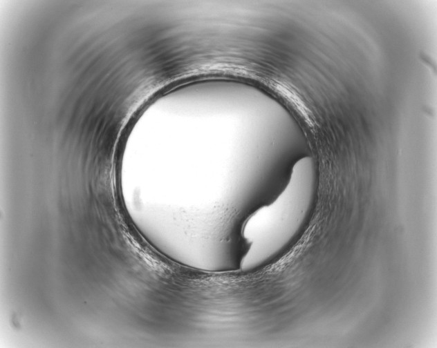 X0000093420888200711021012