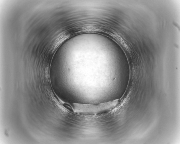 X0000093420889200711021012