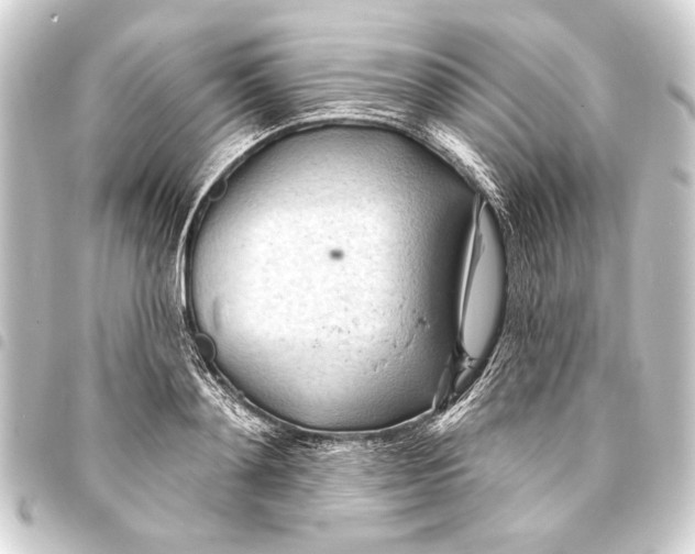 X0000093420892200711021012