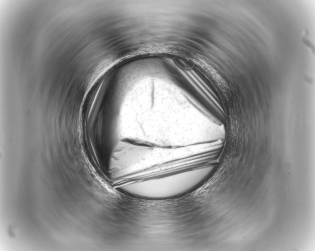 X0000093420894200711021012