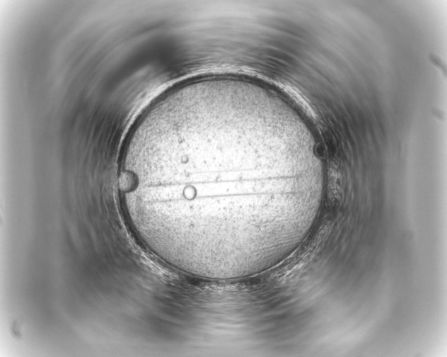 X0000093420895200711021012