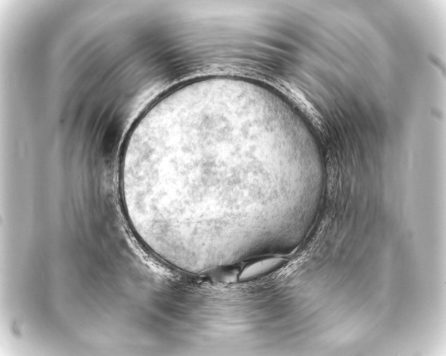 X0000093420896200711021012