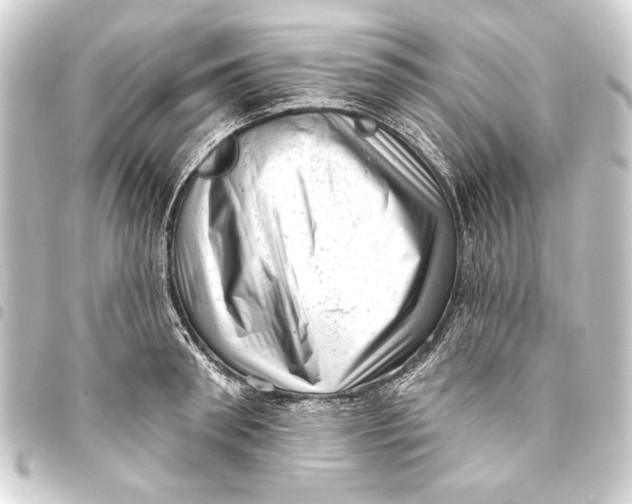 X0000093420898200711021012