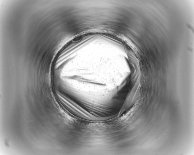 X0000093420902200711021012