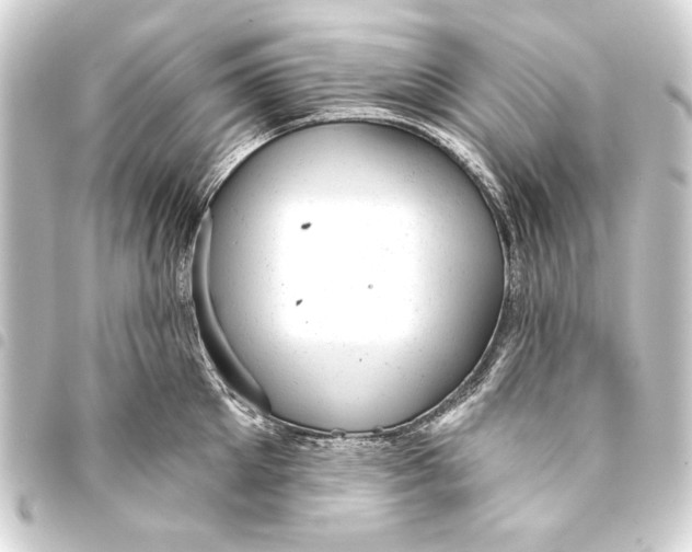 X0000093420905200711021012