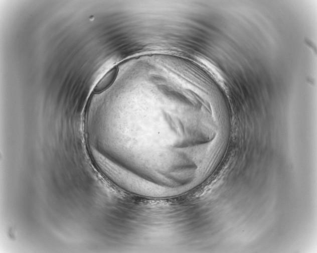 X0000093420907200711021012