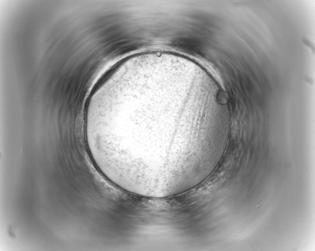 X0000093420911200711021012