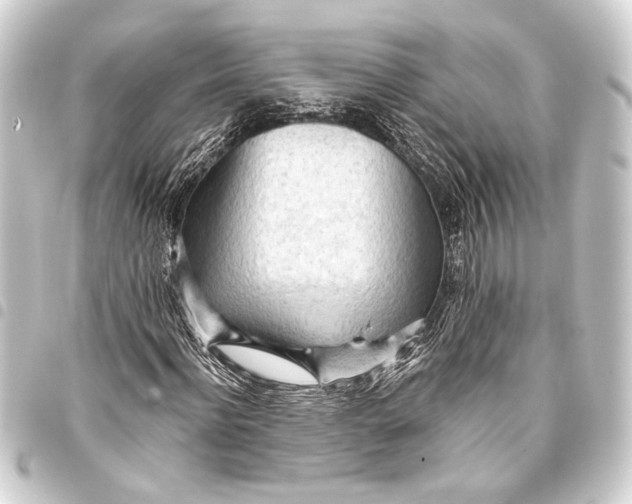 X0000093420916200711021012