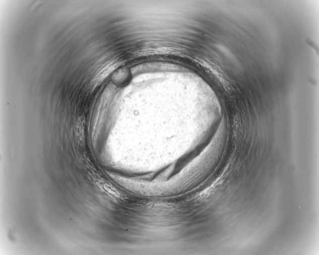 X0000093420921200711021012