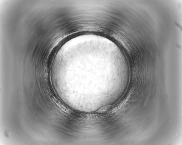 X0000093420923200711021012