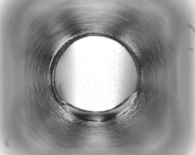 X0000093420924200711021012