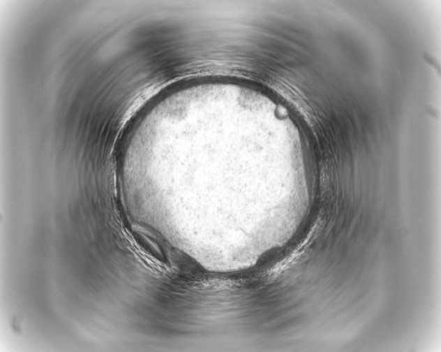 X0000093420925200711021012