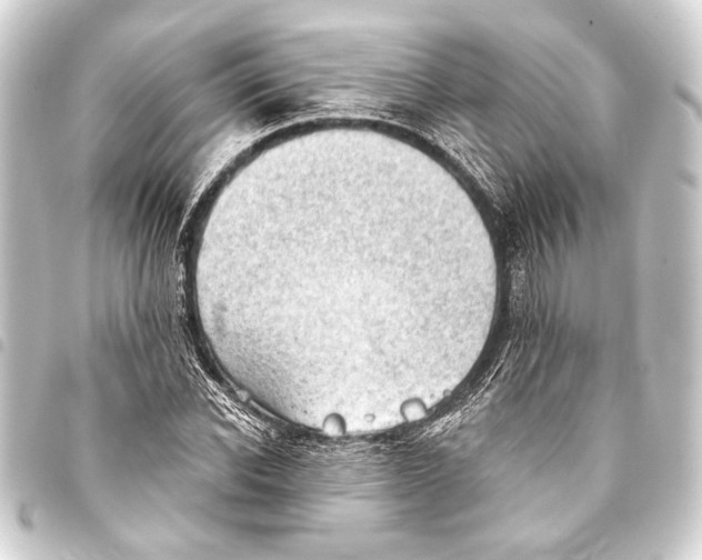 X0000093420926200711021012