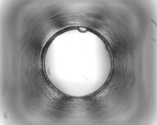 X0000093420927200711021012