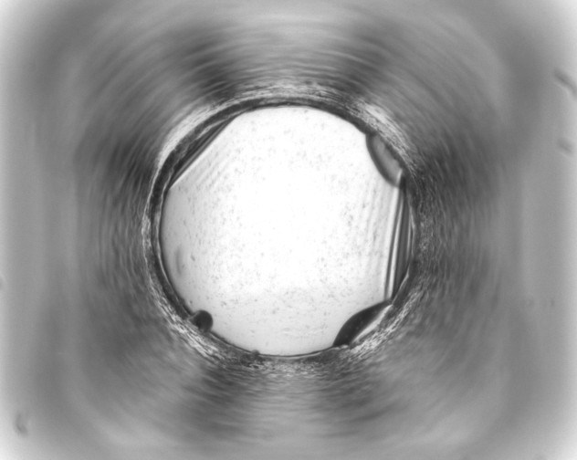 X0000093420928200711021012