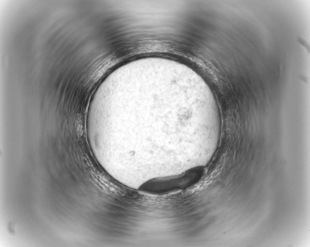 X0000093420929200711021012