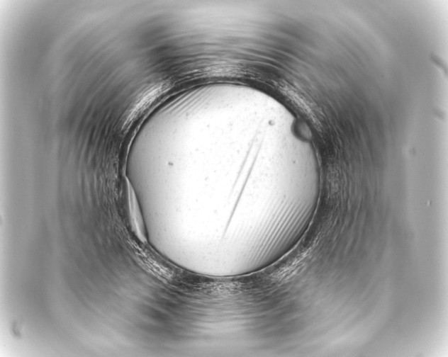 X0000093420930200711021012