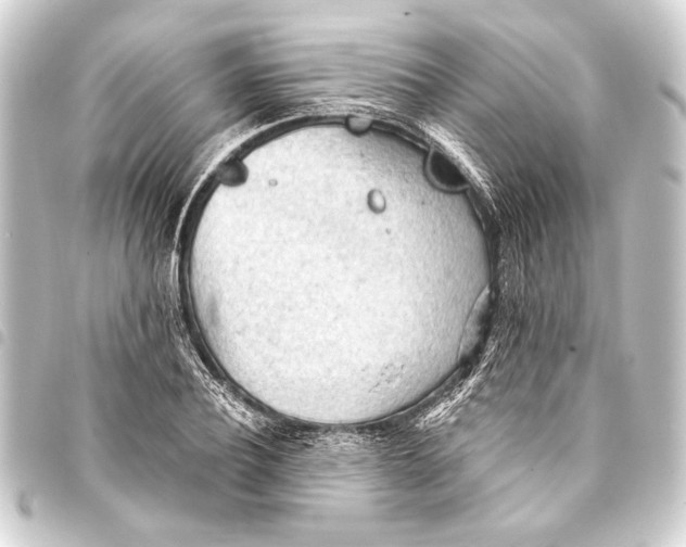 X0000093420932200711021012