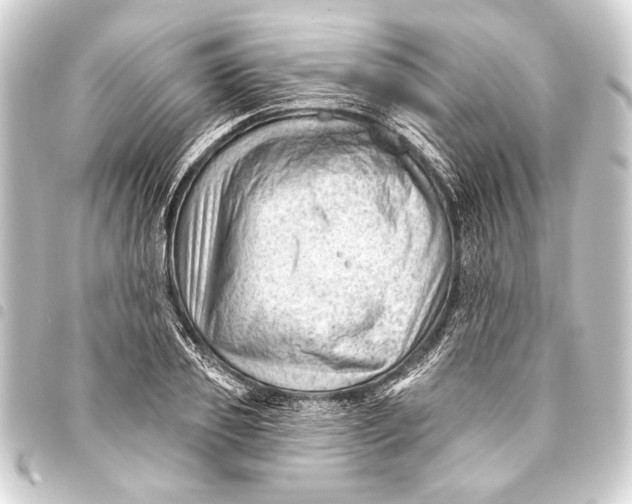 X0000093420933200711021012