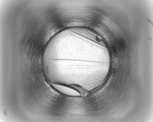 X0000093420937200711021012