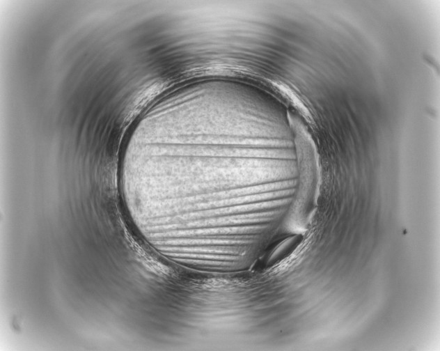 X0000093420938200711021012